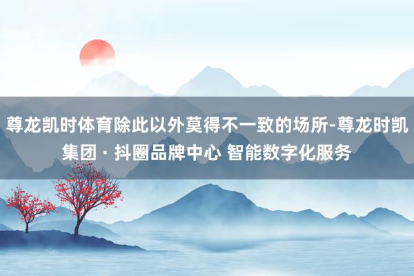 尊龙凯时体育除此以外莫得不一致的场所-尊龙时凯集团 · 抖圈品牌中心 智能数字化服务