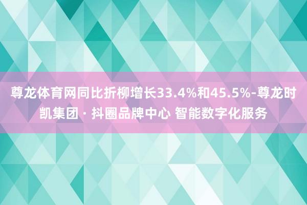 尊龙体育网同比折柳增长33.4%和45.5%-尊龙时凯集团 · 抖圈品牌中心 智能数字化服务