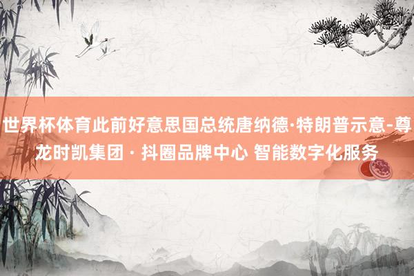 世界杯体育此前好意思国总统唐纳德·特朗普示意-尊龙时凯集团 · 抖圈品牌中心 智能数字化服务