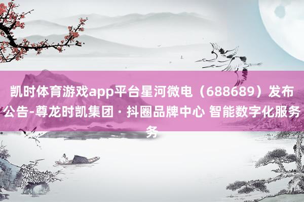 凯时体育游戏app平台星河微电（688689）发布公告-尊龙时凯集团 · 抖圈品牌中心 智能数字化服务