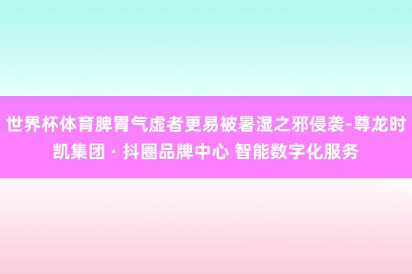 世界杯体育脾胃气虚者更易被暑湿之邪侵袭-尊龙时凯集团 · 抖圈品牌中心 智能数字化服务