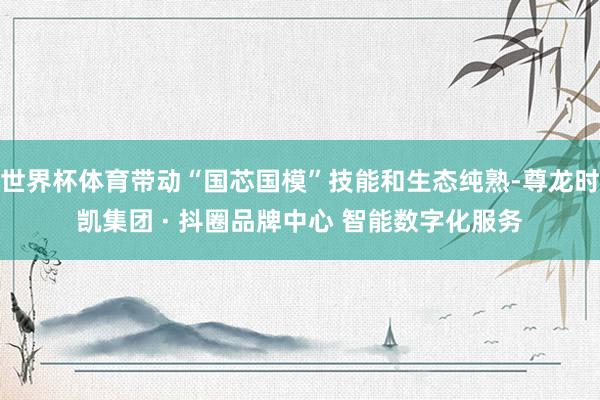 世界杯体育带动“国芯国模”技能和生态纯熟-尊龙时凯集团 · 抖圈品牌中心 智能数字化服务