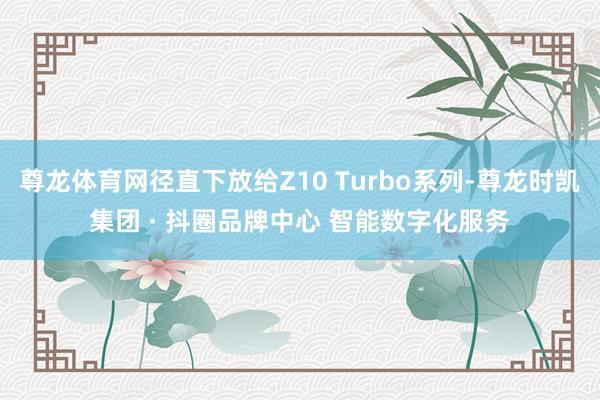 尊龙体育网径直下放给Z10 Turbo系列-尊龙时凯集团 · 抖圈品牌中心 智能数字化服务