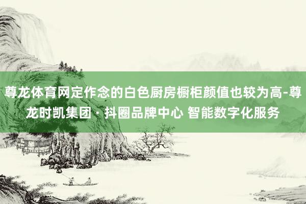 尊龙体育网定作念的白色厨房橱柜颜值也较为高-尊龙时凯集团 · 抖圈品牌中心 智能数字化服务