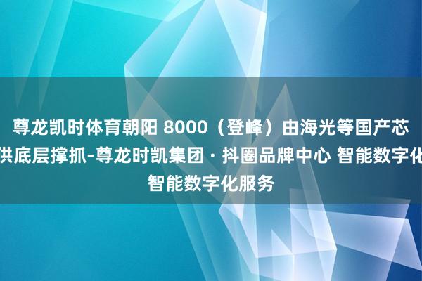 尊龙凯时体育朝阳 8000（登峰）由海光等国产芯片提供底层撑抓-尊龙时凯集团 · 抖圈品牌中心 智能数字化服务