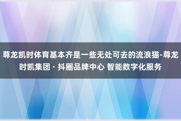 尊龙凯时体育基本齐是一些无处可去的流浪猫-尊龙时凯集团 · 抖圈品牌中心 智能数字化服务