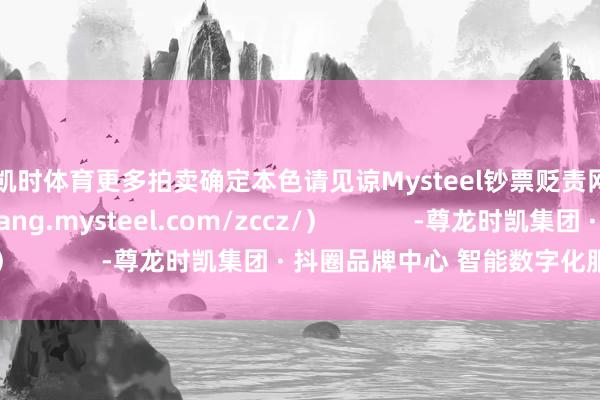 尊龙凯时体育更多拍卖确定本色请见谅Mysteel钞票贬责网页（https://feigang.mysteel.com/zccz/）            -尊龙时凯集团 · 抖圈品牌中心 智能数字化服务