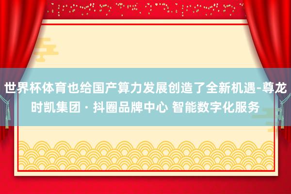 世界杯体育也给国产算力发展创造了全新机遇-尊龙时凯集团 · 抖圈品牌中心 智能数字化服务