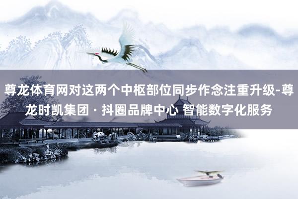 尊龙体育网对这两个中枢部位同步作念注重升级-尊龙时凯集团 · 抖圈品牌中心 智能数字化服务