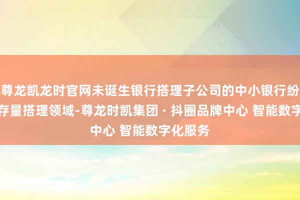 尊龙凯龙时官网未诞生银行搭理子公司的中小银行纷繁压降存量搭理领域-尊龙时凯集团 · 抖圈品牌中心 智能数字化服务