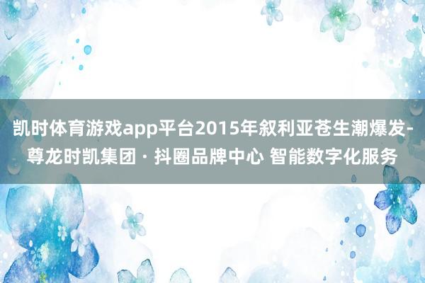 凯时体育游戏app平台2015年叙利亚苍生潮爆发-尊龙时凯集团 · 抖圈品牌中心 智能数字化服务
