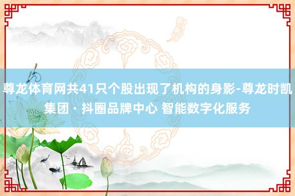 尊龙体育网共41只个股出现了机构的身影-尊龙时凯集团 · 抖圈品牌中心 智能数字化服务