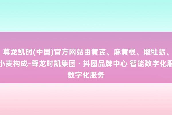 尊龙凯时(中国)官方网站由黄芪、麻黄根、煅牡蛎、浮小麦构成-尊龙时凯集团 · 抖圈品牌中心 智能数字化服务