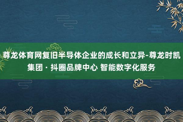 尊龙体育网复旧半导体企业的成长和立异-尊龙时凯集团 · 抖圈品牌中心 智能数字化服务