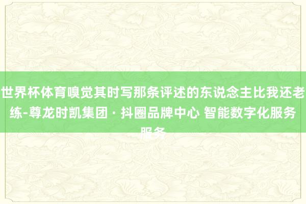 世界杯体育嗅觉其时写那条评述的东说念主比我还老练-尊龙时凯集团 · 抖圈品牌中心 智能数字化服务