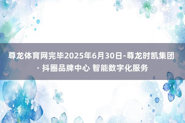 尊龙体育网完毕2025年6月30日-尊龙时凯集团 · 抖圈品牌中心 智能数字化服务