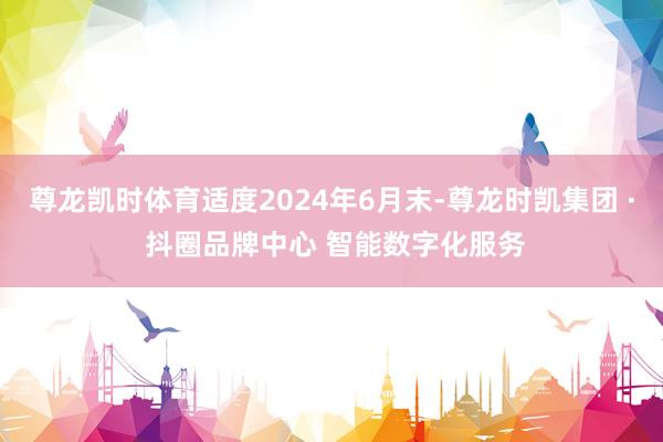尊龙凯时体育适度2024年6月末-尊龙时凯集团 · 抖圈品牌中心 智能数字化服务