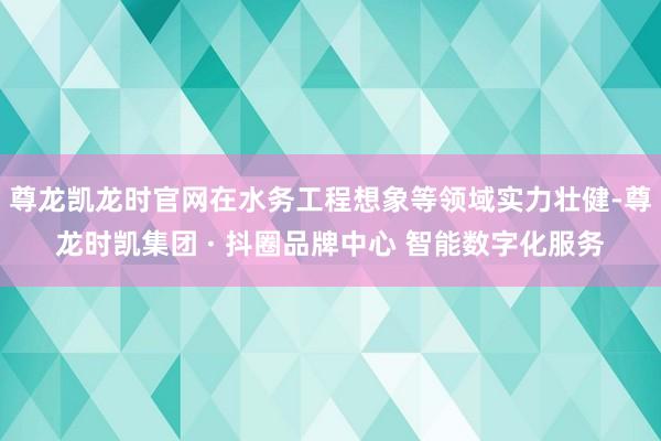 尊龙凯龙时官网在水务工程想象等领域实力壮健-尊龙时凯集团 · 抖圈品牌中心 智能数字化服务