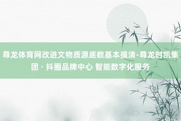尊龙体育网改进文物质源底数基本摸清-尊龙时凯集团 · 抖圈品牌中心 智能数字化服务
