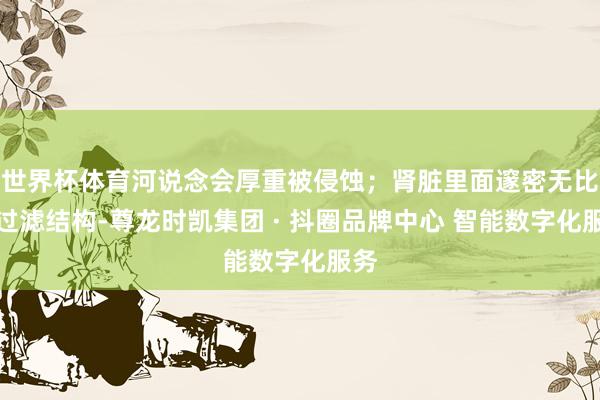 世界杯体育河说念会厚重被侵蚀;肾脏里面邃密无比的过滤结构-尊龙时凯集团 · 抖圈品牌中心 智能数字化服务