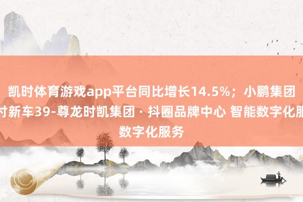 凯时体育游戏app平台同比增长14.5%；小鹏集团托付新车39-尊龙时凯集团 · 抖圈品牌中心 智能数字化服务