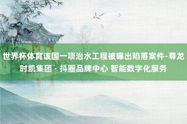 世界杯体育该国一项治水工程被曝出陷落案件-尊龙时凯集团 · 抖圈品牌中心 智能数字化服务