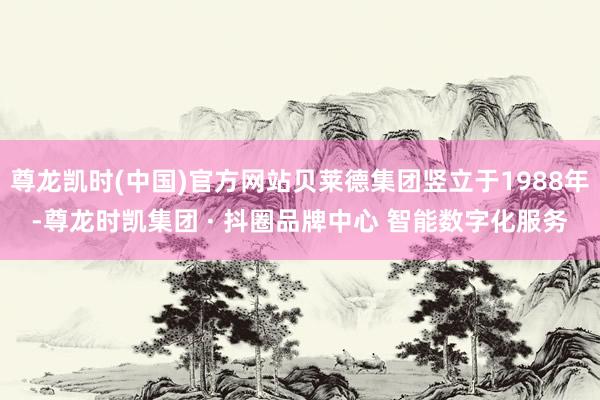 尊龙凯时(中国)官方网站贝莱德集团竖立于1988年-尊龙时凯集团 · 抖圈品牌中心 智能数字化服务