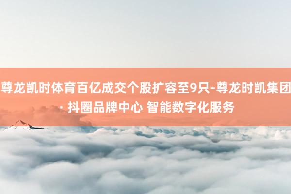 尊龙凯时体育百亿成交个股扩容至9只-尊龙时凯集团 · 抖圈品牌中心 智能数字化服务