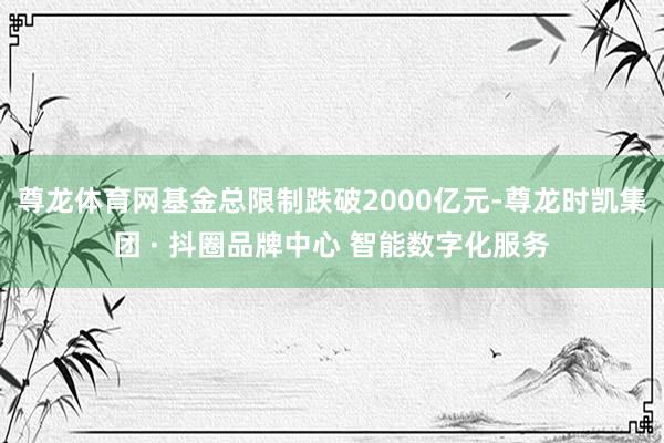 尊龙体育网基金总限制跌破2000亿元-尊龙时凯集团 · 抖圈品牌中心 智能数字化服务
