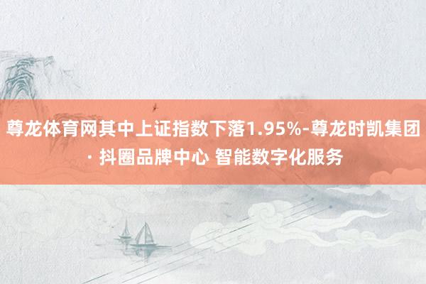 尊龙体育网其中上证指数下落1.95%-尊龙时凯集团 · 抖圈品牌中心 智能数字化服务
