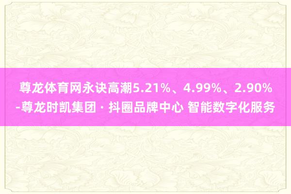 尊龙体育网永诀高潮5.21%、4.99%、2.90%-尊龙时凯集团 · 抖圈品牌中心 智能数字化服务