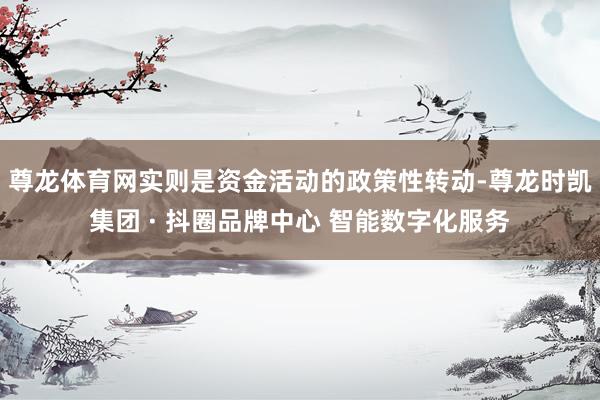 尊龙体育网实则是资金活动的政策性转动-尊龙时凯集团 · 抖圈品牌中心 智能数字化服务