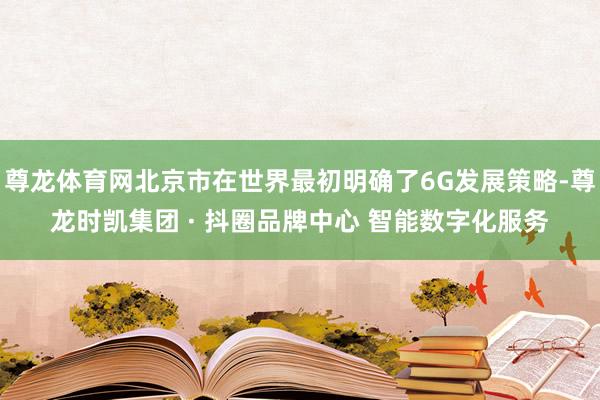 尊龙体育网北京市在世界最初明确了6G发展策略-尊龙时凯集团 · 抖圈品牌中心 智能数字化服务