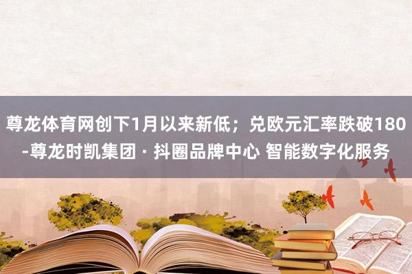 尊龙体育网创下1月以来新低；兑欧元汇率跌破180-尊龙时凯集团 · 抖圈品牌中心 智能数字化服务