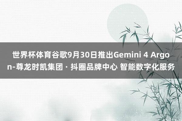 世界杯体育谷歌9月30日推出Gemini 4 Argon-尊龙时凯集团 · 抖圈品牌中心 智能数字化服务