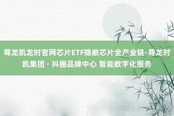 尊龙凯龙时官网芯片ETF隐敝芯片全产业链-尊龙时凯集团 · 抖圈品牌中心 智能数字化服务
