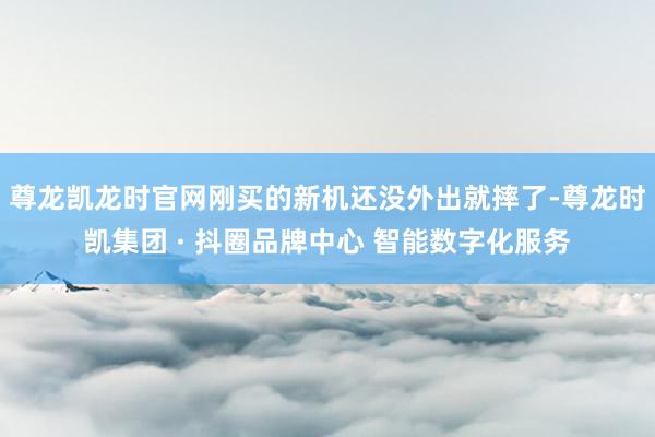 尊龙凯龙时官网刚买的新机还没外出就摔了-尊龙时凯集团 · 抖圈品牌中心 智能数字化服务