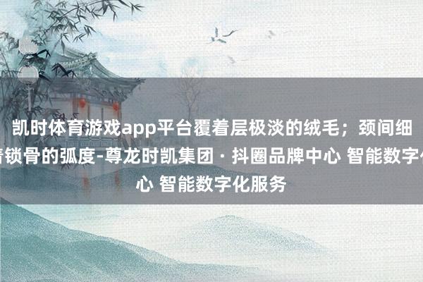 凯时体育游戏app平台覆着层极淡的绒毛；颈间细链贴着锁骨的弧度-尊龙时凯集团 · 抖圈品牌中心 智能数字化服务