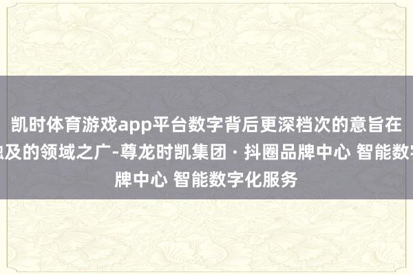 凯时体育游戏app平台数字背后更深档次的意旨在于演习触及的领域之广-尊龙时凯集团 · 抖圈品牌中心 智能数字化服务