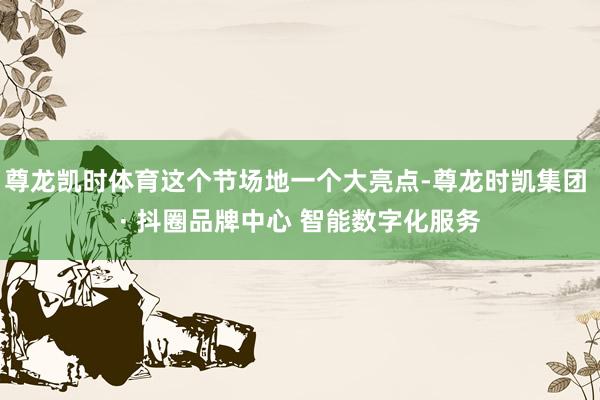 尊龙凯时体育这个节场地一个大亮点-尊龙时凯集团 · 抖圈品牌中心 智能数字化服务