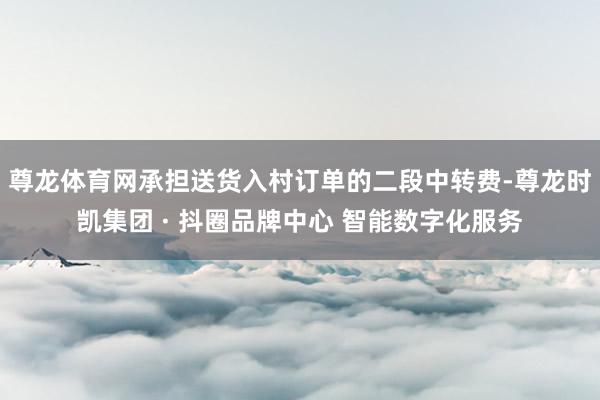 尊龙体育网承担送货入村订单的二段中转费-尊龙时凯集团 · 抖圈品牌中心 智能数字化服务