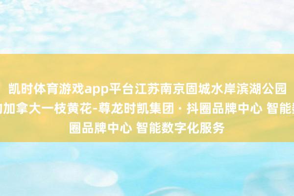 凯时体育游戏app平台江苏南京固城水岸滨湖公园出现成片的加拿大一枝黄花-尊龙时凯集团 · 抖圈品牌中心 智能数字化服务