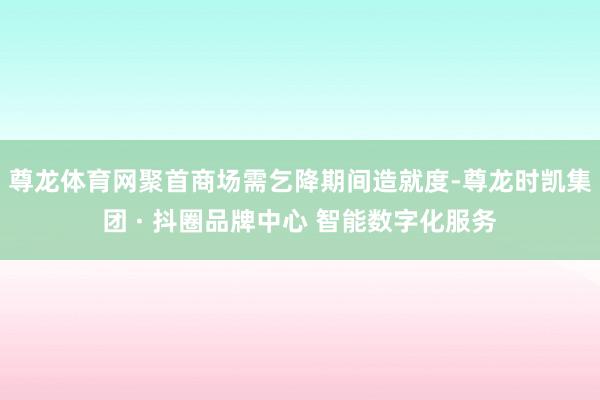 尊龙体育网聚首商场需乞降期间造就度-尊龙时凯集团 · 抖圈品牌中心 智能数字化服务